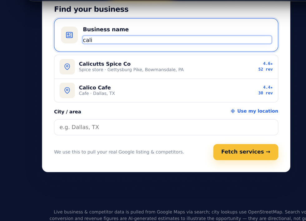 The Revenue Opportunity Finder intake - search your business on Google, then pick a service to analyze.